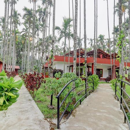 Ezzenza Areca Resort Madikeri Exteriér fotografie